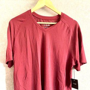 01.Algo Stitch Fix sz L Performance V-Neck T-shirt